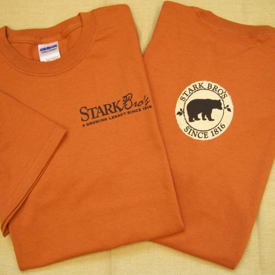 Photo of Bear Logo Short Sleeve Branded Tee