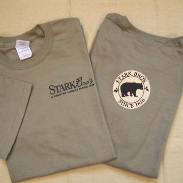 Photo of Bear Logo Short Sleeve Branded Tee