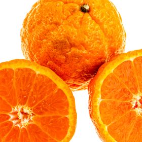 Sliced in half Golden Nugget Mandarin Orange