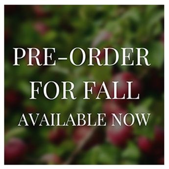 Fall Preview