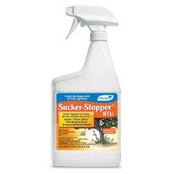 Sucker Stopper - Ready to Use