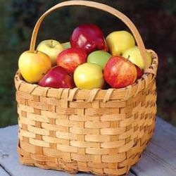 Photo of 5-N-1 Apple