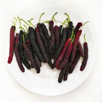 Plate of Mulberries