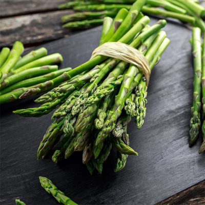 asparagus tied in a bundle
