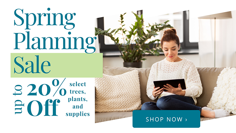 Spring Planning Sale! Save up to 20% off select trees, plants, tools & supplies!