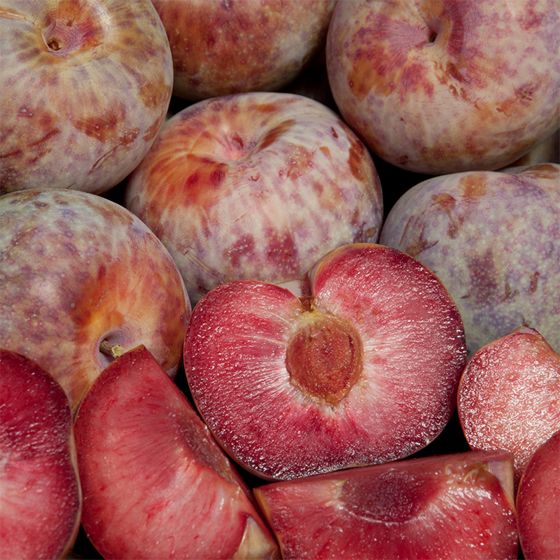 pluot cut in half on top of other pluots