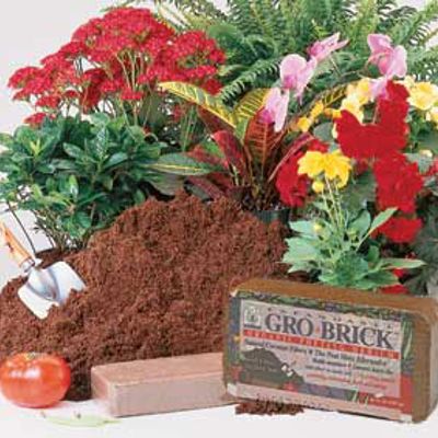 Photo of Gro-Brick® Small