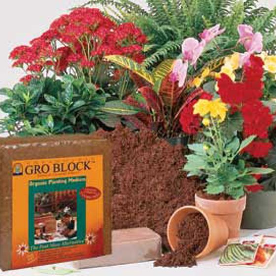 Photo of Gro-Brick® Large