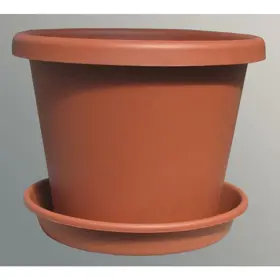 Pot and saucer