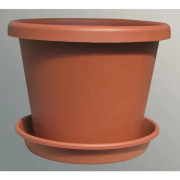 Pot and saucer
