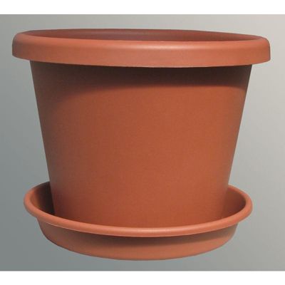 Pot and saucer