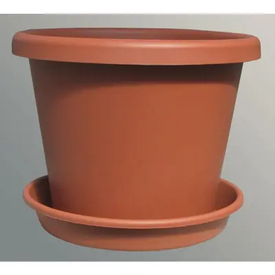 Pot and saucer