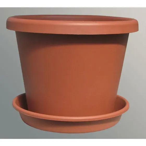 Pot and saucer
