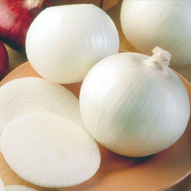Photo of Super Star White Onion Plant