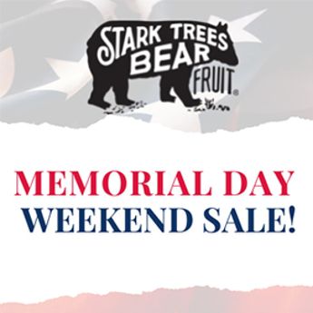 Memorial Day Sale