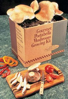 Photo of Portabella Mushroom Kit