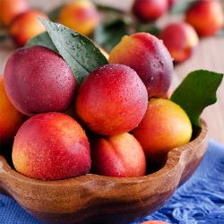 Red Nectarines in basket