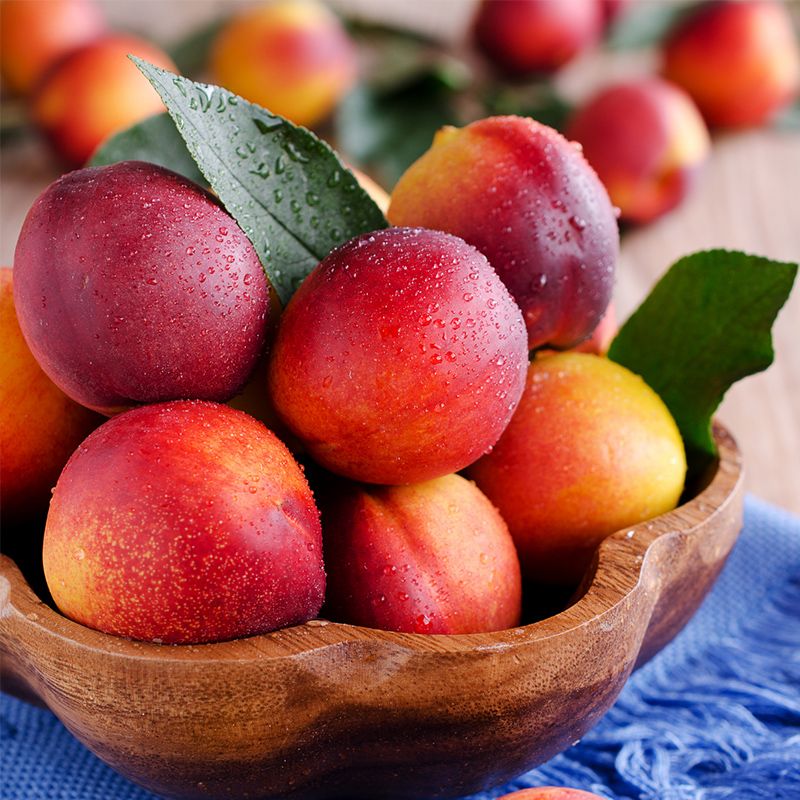 Amoore Sweet Nectarine Tree