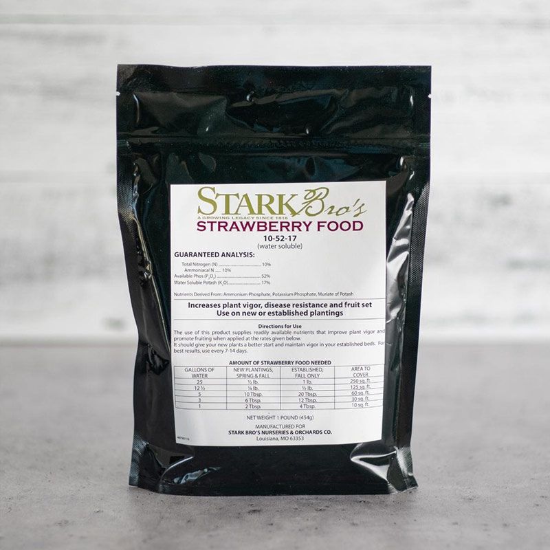 Stark® Strawberry Food Stark Bro’s