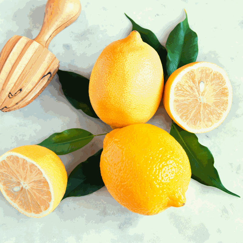 Eureka Lemon Tree Stark Bro’s