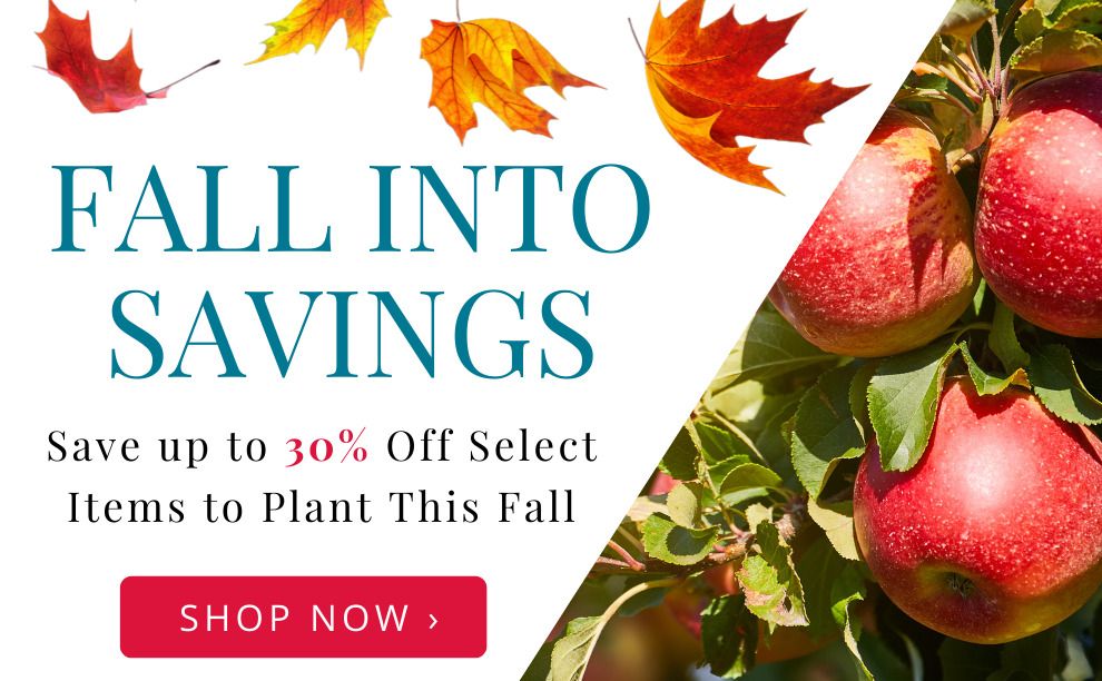 Fall into savings! Save up to 30% select items during our Fall Savings Event