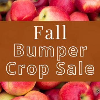 Bumper Crop Sale!