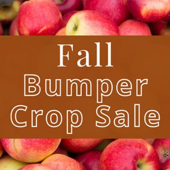 Photo of texts stating fall bumper crop sale.