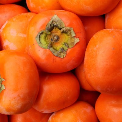 Pile of bright orange persimmons