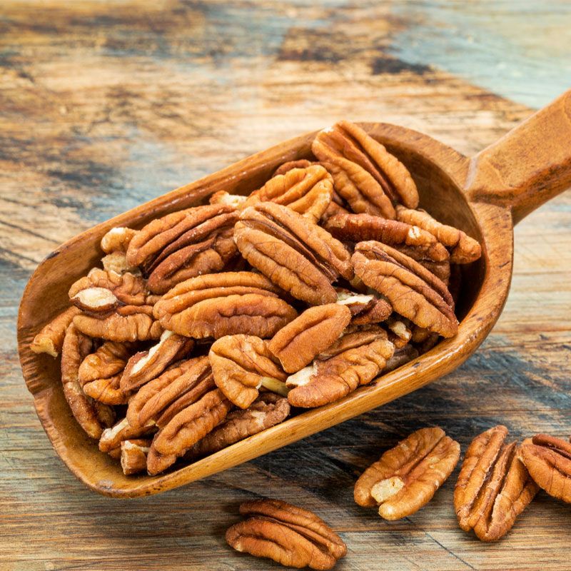 Kalos™ Pecan Tree Stark Bro’s