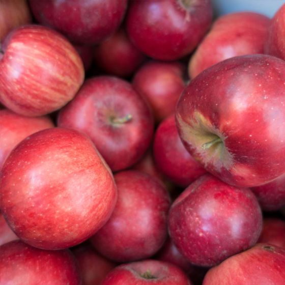 pile of red apples