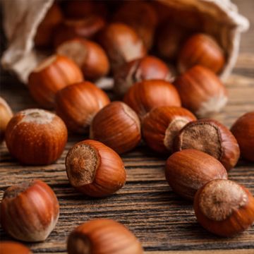 hazelnuts on table falling from bag