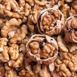 Walnut cracked open on top of shelled walnuts
