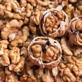 Walnut cracked open on top of shelled walnuts
