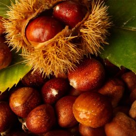 chestnut in shell on top of shelled chestnuts