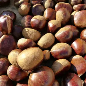 Pile of chestnuts