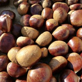 Pile of chestnuts