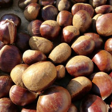 Pile of chestnuts