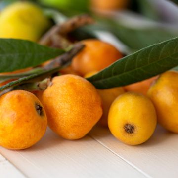 ripe loquat fruit and leaves on white table