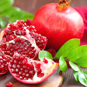 Pomegranate Cut Open