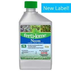 bottle of neem oil