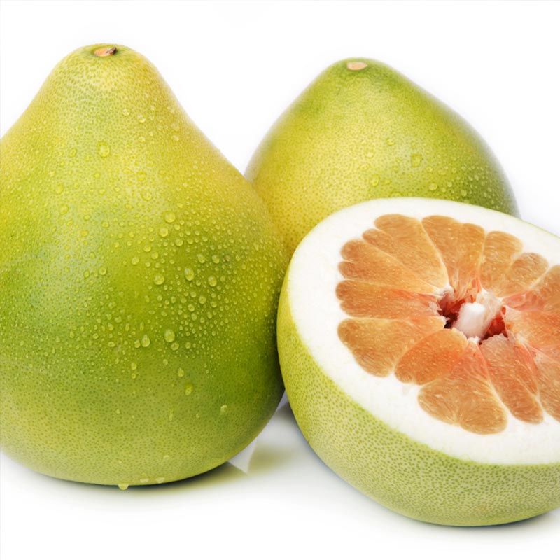 Chandler Red Pummelo Tree Stark Bro’s