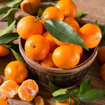 basket of Ponkan Mandarin