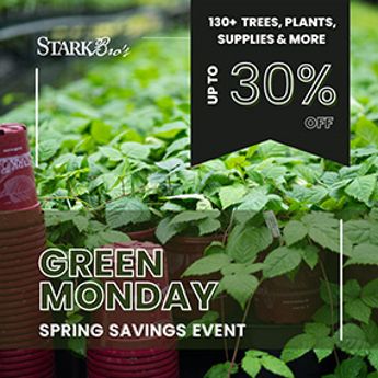 Green Monday Spring Savings Event