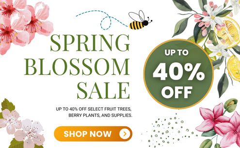 Enjoy up to 40% off during our Spring Blossom Sale!