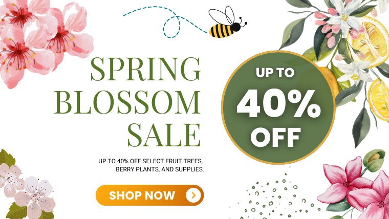 Enjoy up to 40% off during our Spring Blossom Sale!
