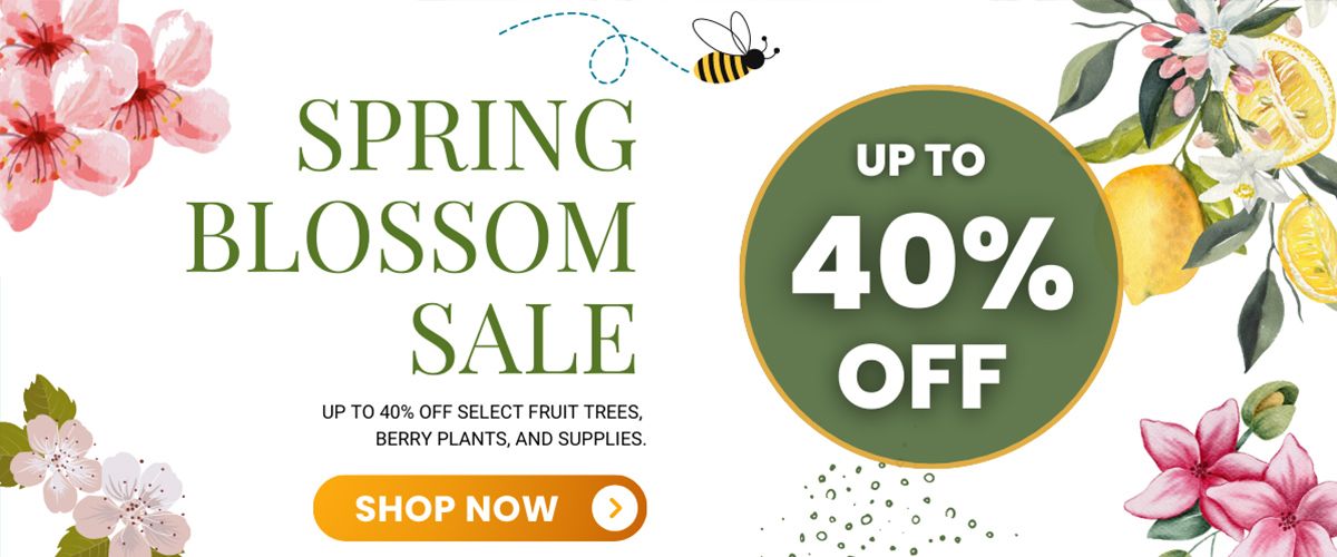 Enjoy up to 40% off during our Spring Blossom Sale!