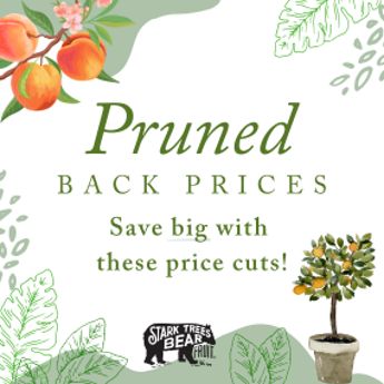 Pruned Back Prices