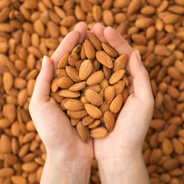 Lots of almonds, some in hands