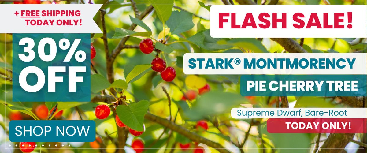 Stark Bro's Nurseries & Orchards Co Since 1816