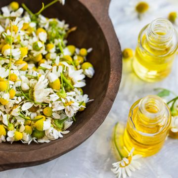 Roman Chamomile essential oil
